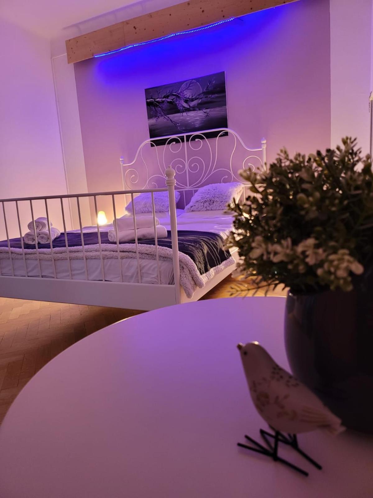 Vintage Apartment Old Center Брашов Екстериор снимка
